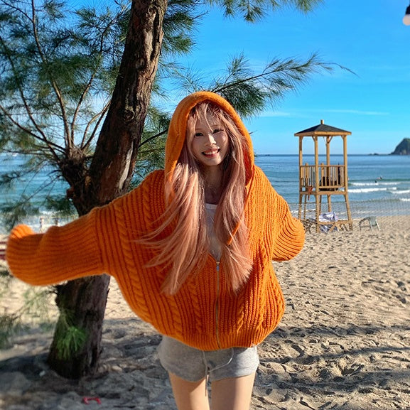 American Idle Style Twist Knitted Hooded Sweater