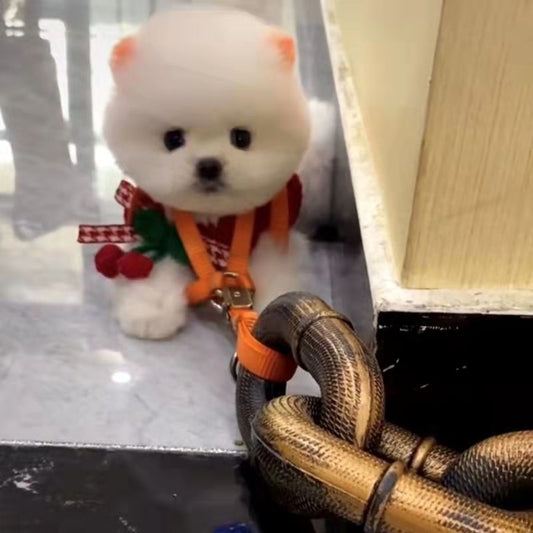 Internet Celebrity Same Style Dog Leash Simulation Rough Spoof Big Shot Video Special Props Walking Hand Holding Rope