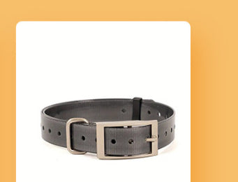 Pet Cat Dog Night Reflective Collar