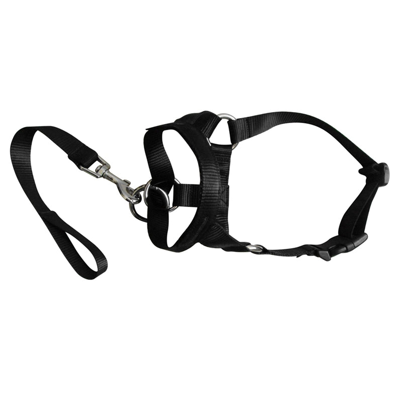 Anti-riot Rushing Dog Traction Rope For Dog Walking
