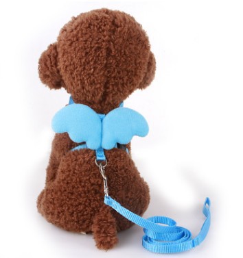 Collar pet wing leash