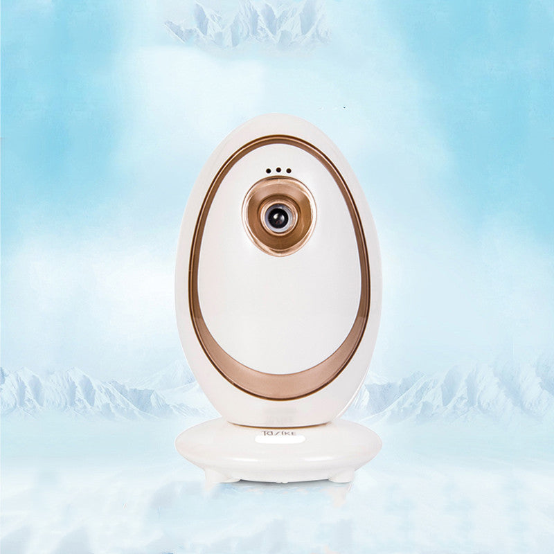 Facial cold spray steam beauty instrument