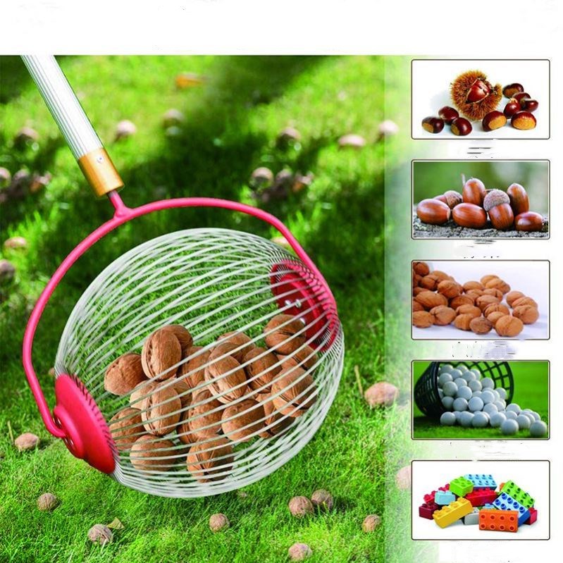 Quickly pick up fruit and chestnut tool