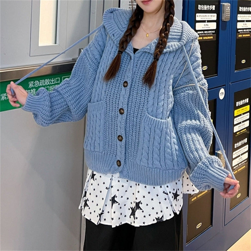 South Korea Retro Twist Hooded Sweater
