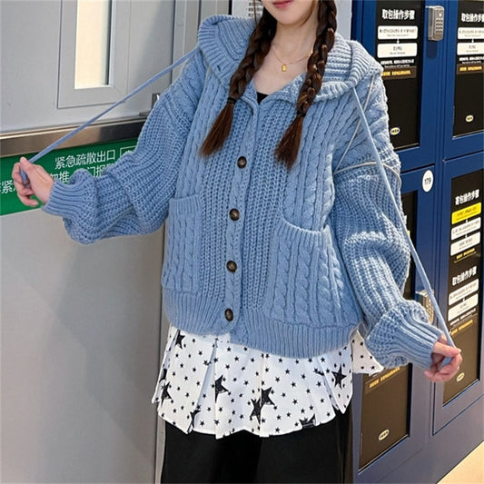South Korea Retro Twist Hooded Sweater
