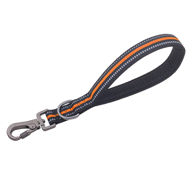 Big Dog Short Traction Rope Step Training