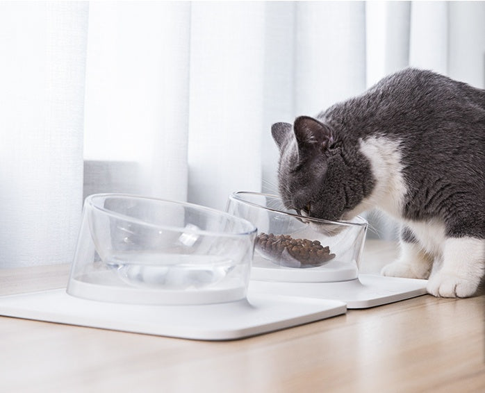Aiwo (aiwo) pet anti overflow and anti overturning mat with inclined mouth single bowl cat bowl dog bowl water bowl