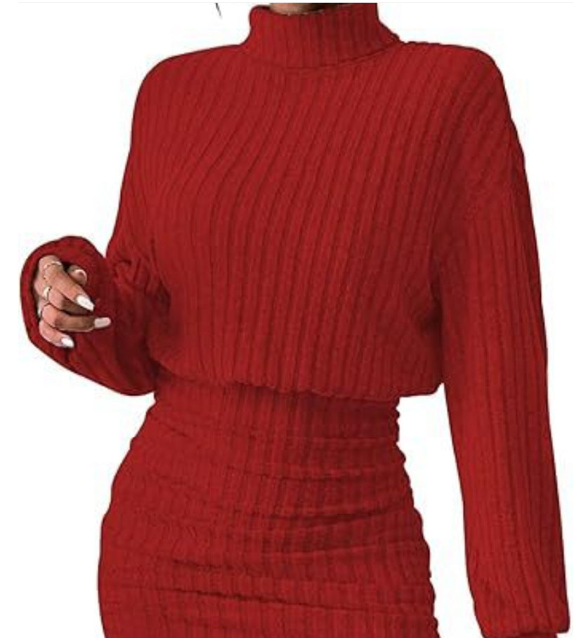 Hug-hem Long-sleeve Turtleneck Skirt Rib-knit Dress