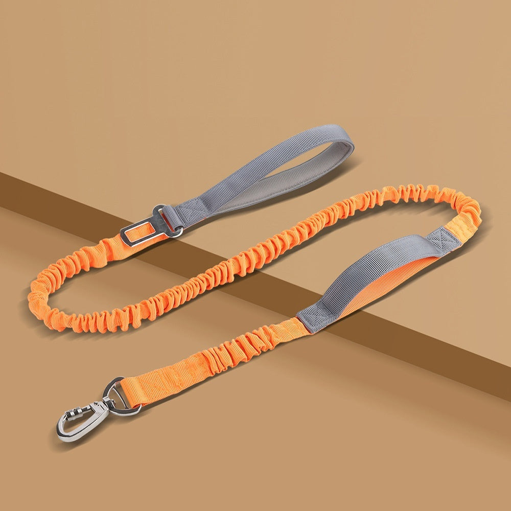 Dog Leash Anti-Burst Reflective Outdoor