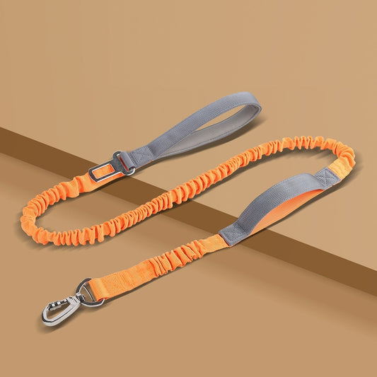 Dog Leash Anti-Burst Reflective Outdoor