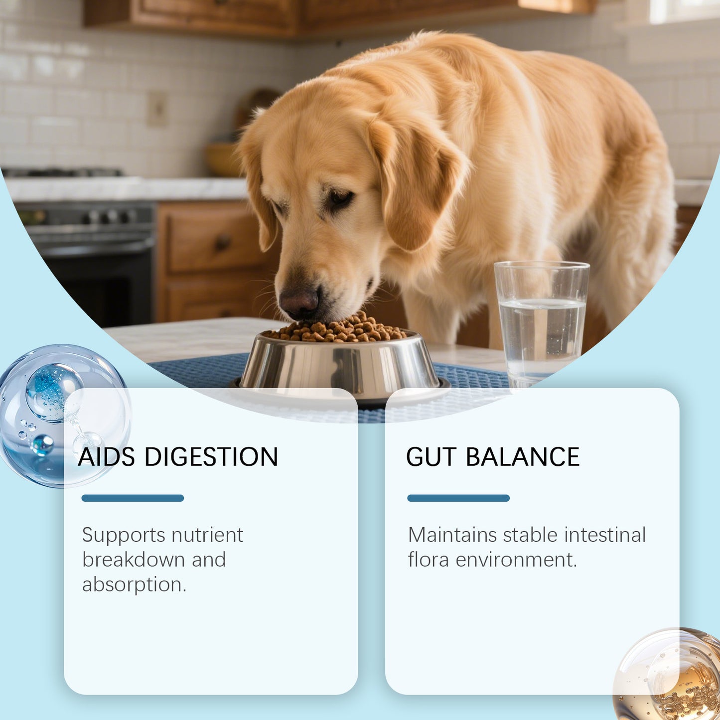 Daily Probiotic Soft Granules For Dog Gut Health