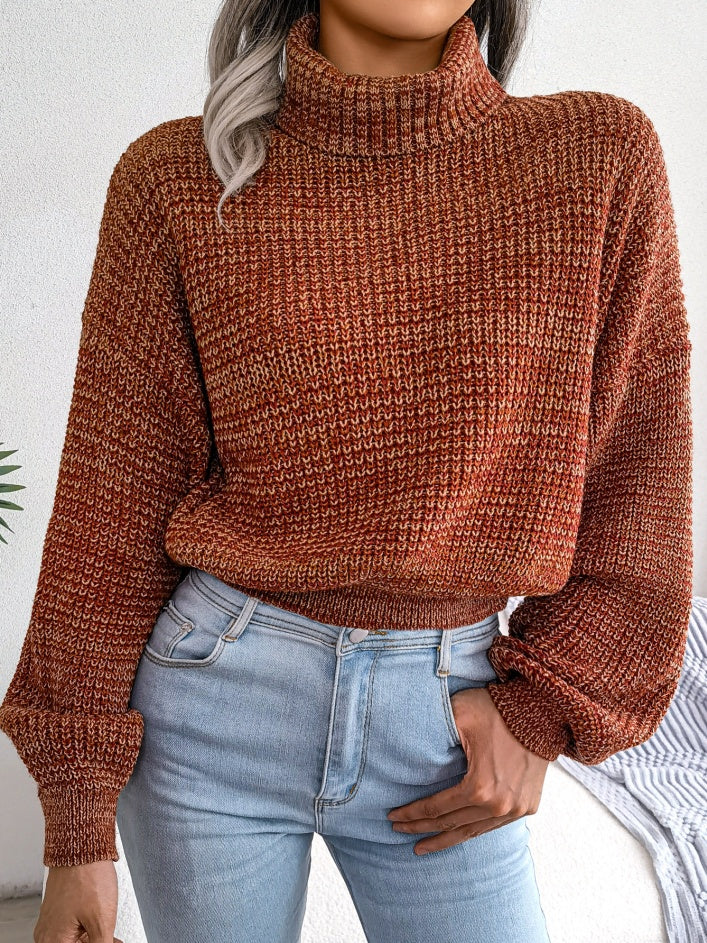 Women Mixed Color Lantern Sleeve Turtleneck Knit Sweater