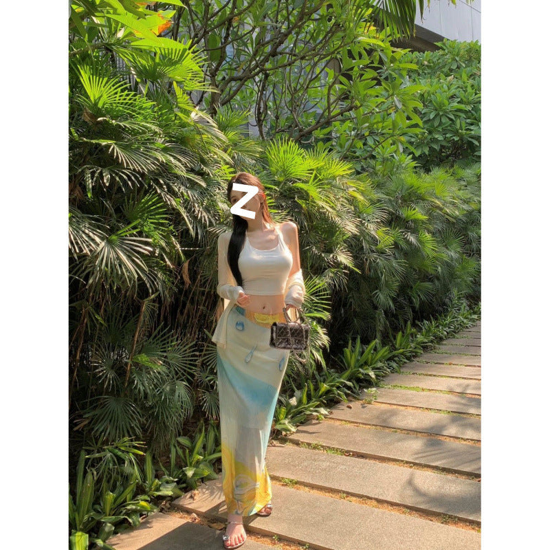 High Waist Design Sense Niche Artistic Sense Long New Style Printed Skirt For Women