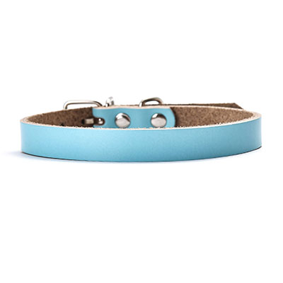 Leather dog collar dog chain