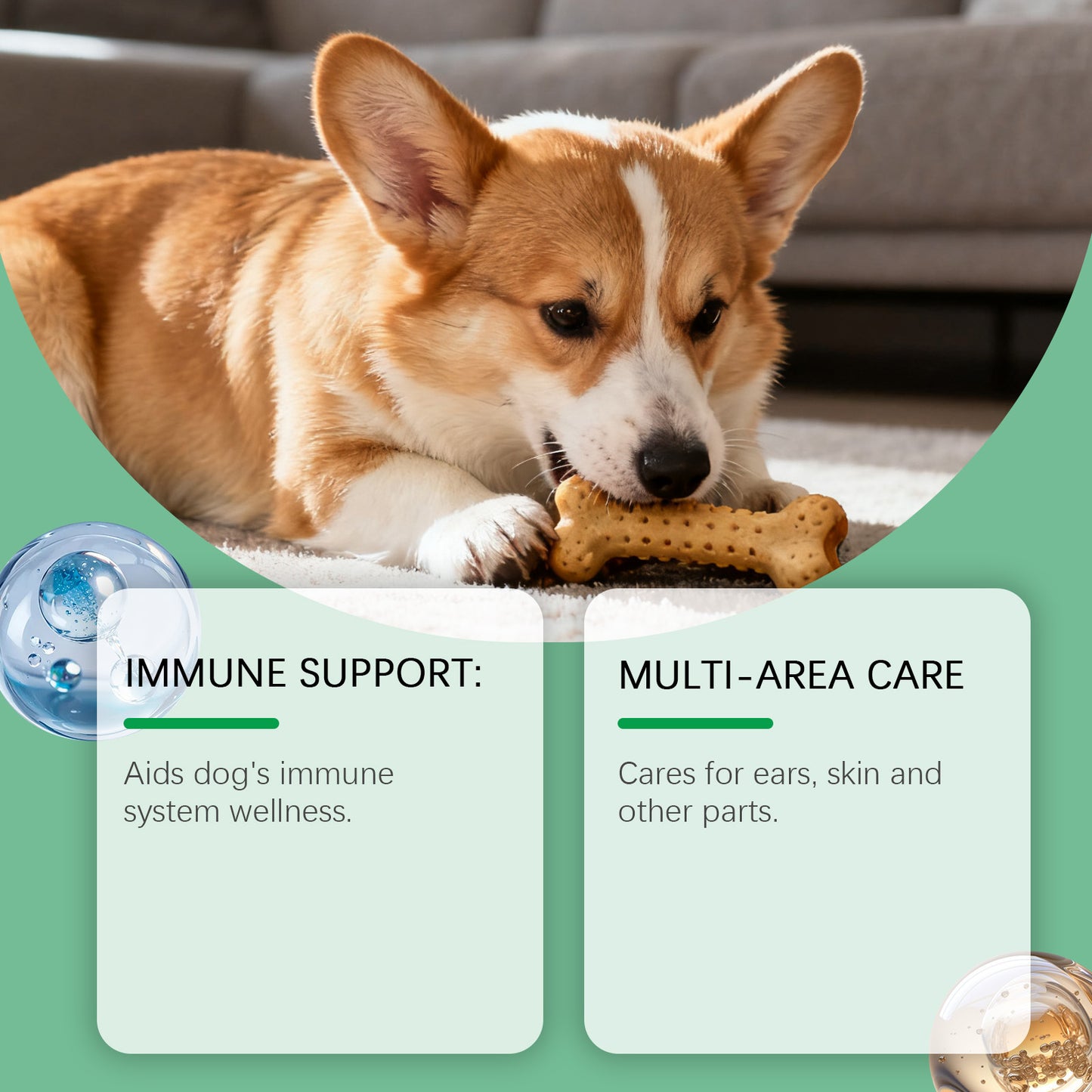 Immune Herbal Drops For Dogs
