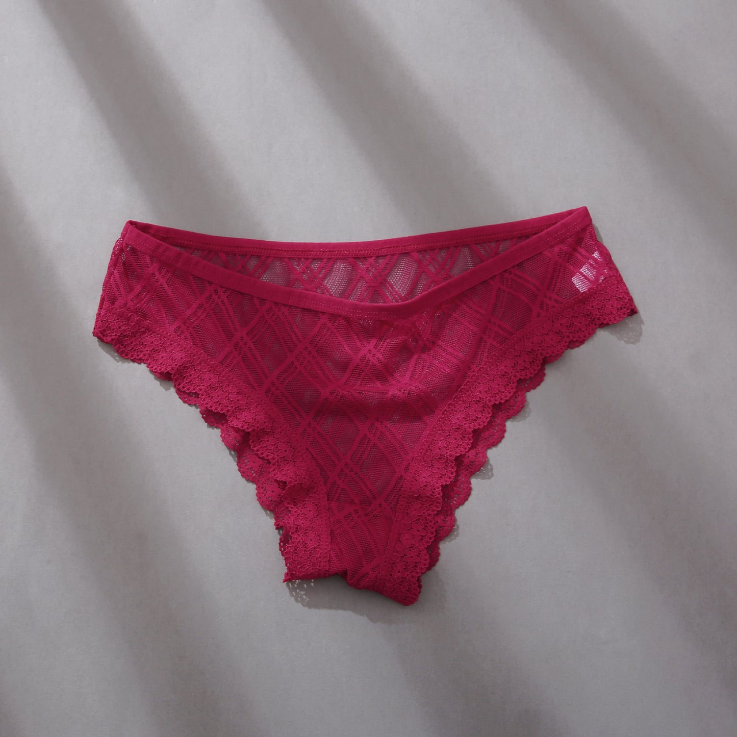 Women's Mesh Lace Trim Panel Briefs