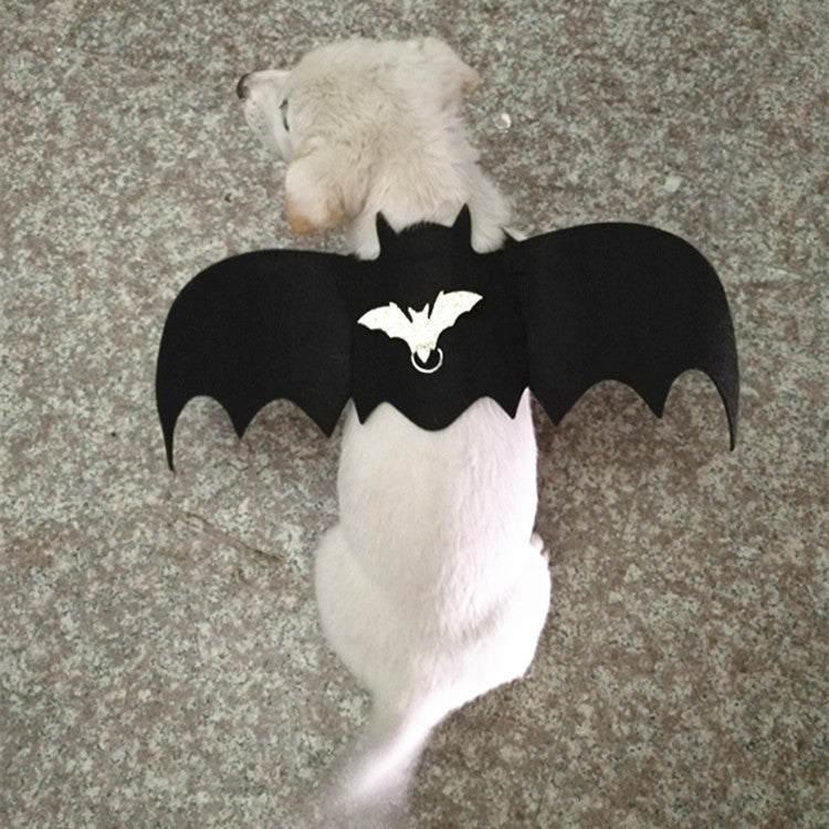 Dog dressed up with bat wings