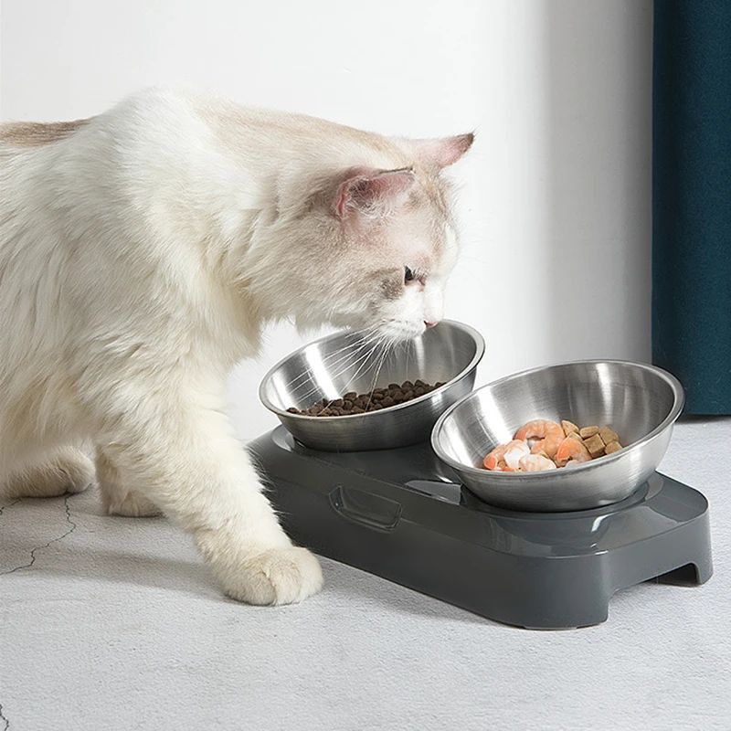 Nem at rengøre rustfri stål kattebakke hundeskål til mad og vand med stativ Metalskåle til katte hunde Dobbelt Enkelt Kæledyrsfoderskål