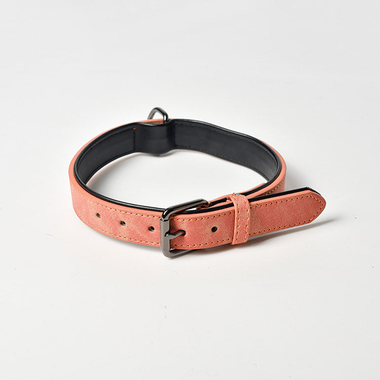 Matte Anti Lost Dog Collar