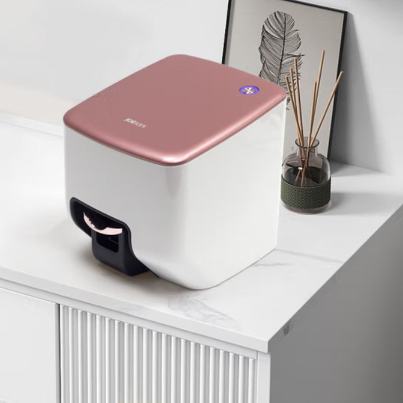 Ink Cartridge Painted Nail Art Printer