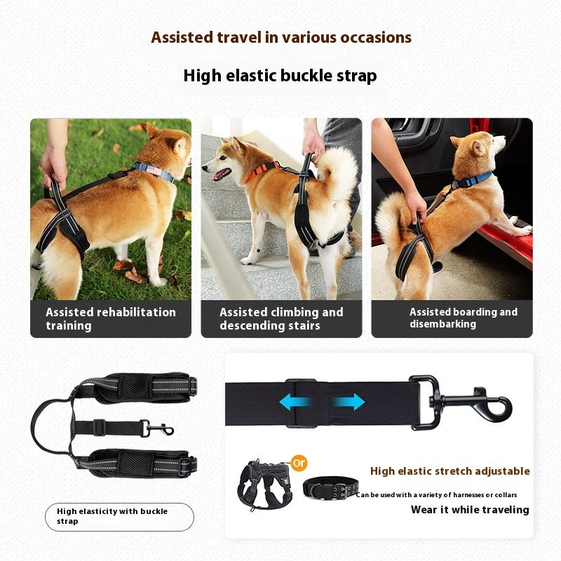 Pet Rehabilitation Hind Legs Auxiliary Strap