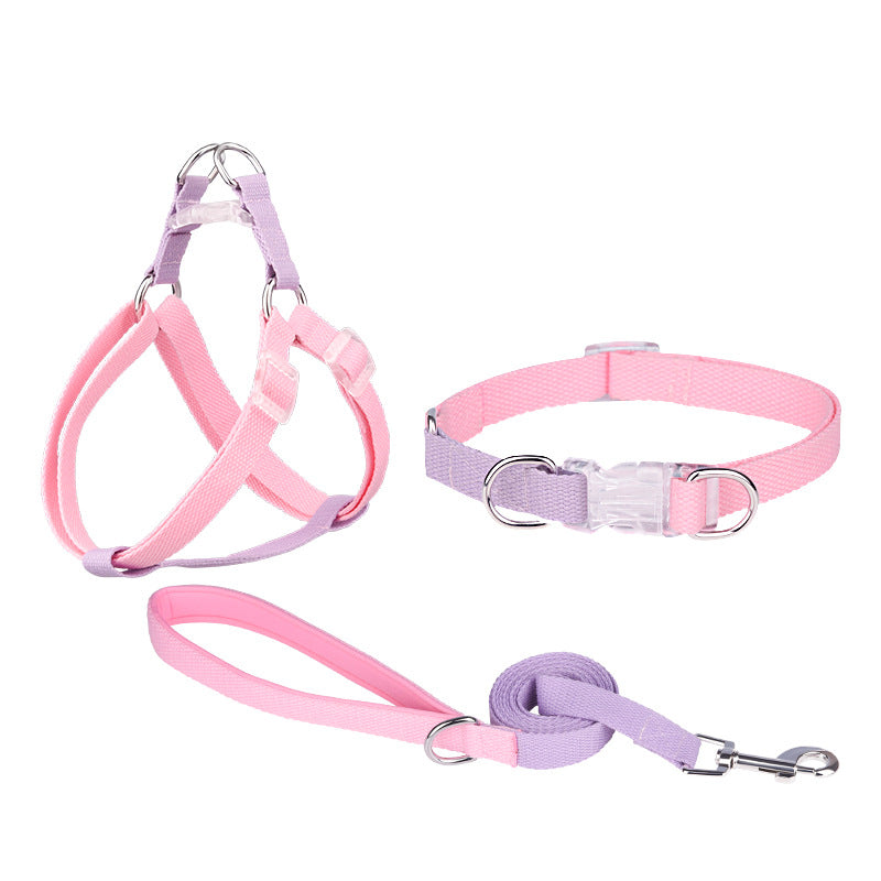 Polyester Ribbon Dog Collar Pet Hand Holding Rope