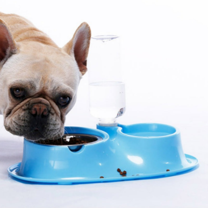 Stainless Automatic Drinking Bowl