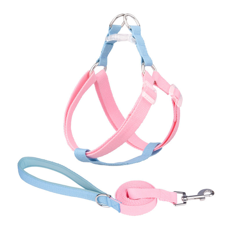 Macaron Traction Dog Rope Small And Medium Sized Pets