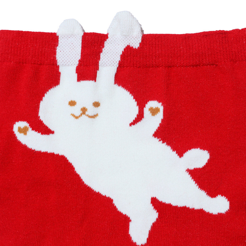 Year Of The Rabbit Good Luck Sweet