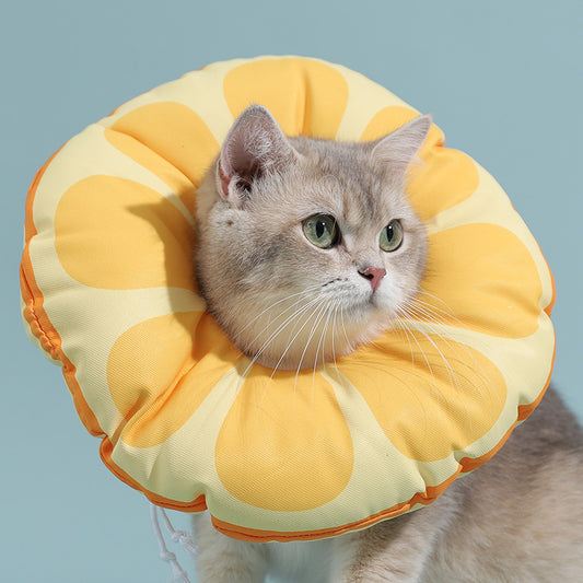 Cat Lick And Bite Elizabeth Ring Headgear