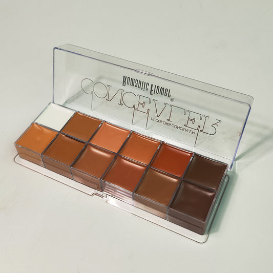 12 Colors Concealer Dark Skin Waterproof Full Coverage Foundation