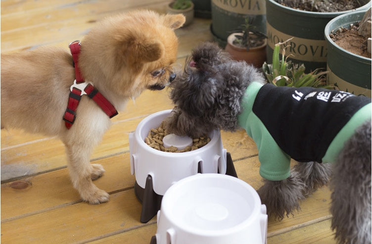 Wet and dry pet bowl