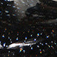 High-rise Glossy Low-top Women's Boots