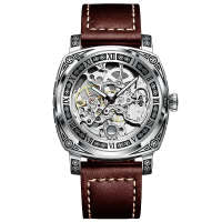 Men's Casual Skeleton Automatic Mechanical Watch