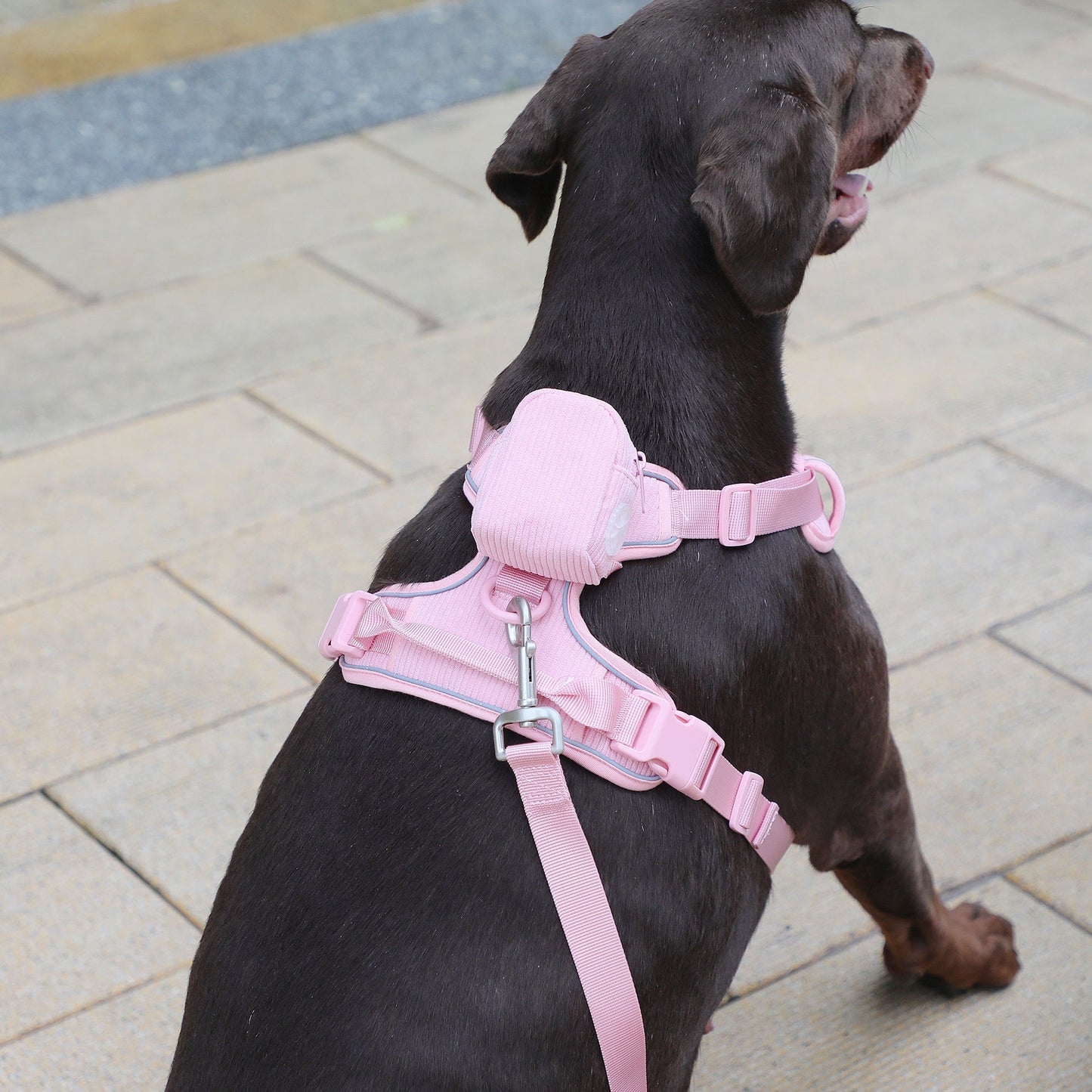 Design Pink Corduroy Pet's Chest-back Can Carve Writing Collar Rope Dog Walking Bag