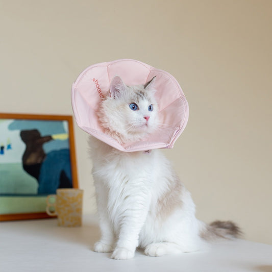 Cat For Common Dogs Waterproof Collar Anti-licking Bite Sterilization Headgear