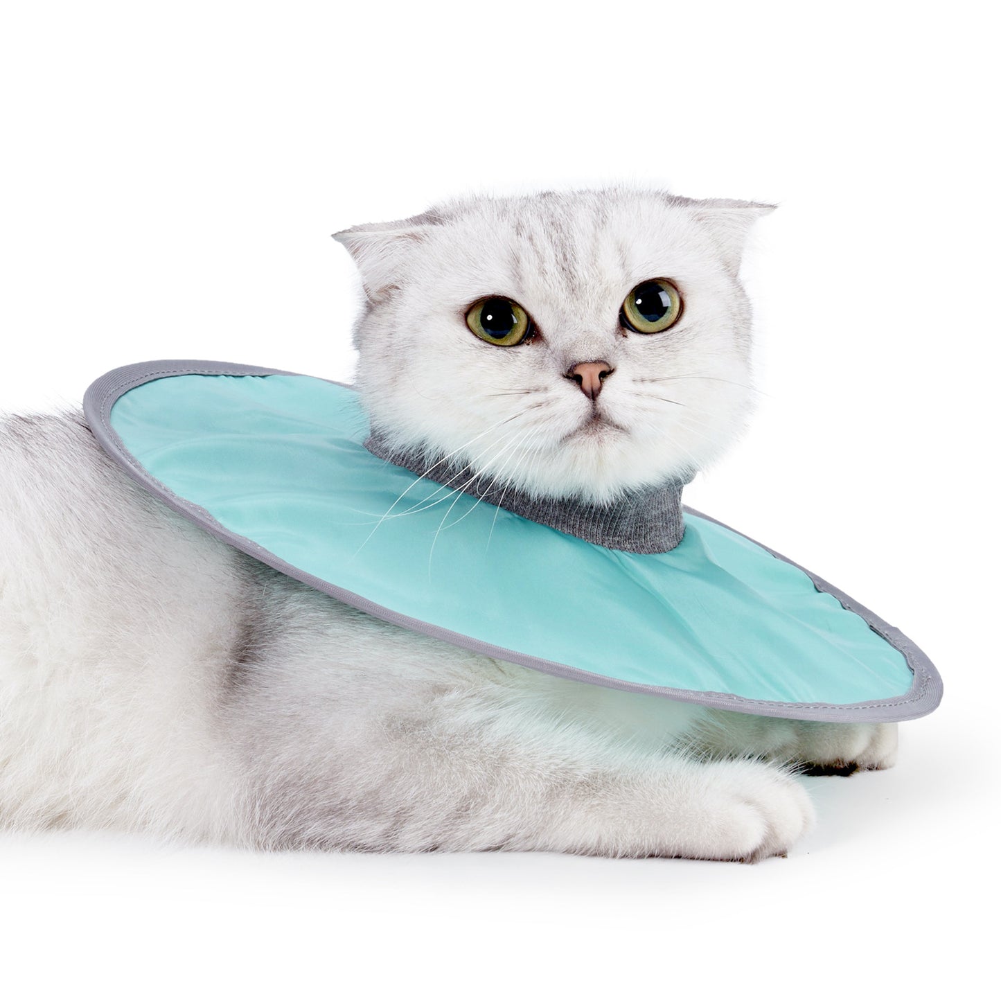 Waterproof Cat Recovery Collar  Adjustable Pet Cone Collar  Protective Cat Neck Cones To Stop Licking Wounds Lightweight Kitten Cones After Surgery Elizabethan E Collar For Cats Small Dog Puppy