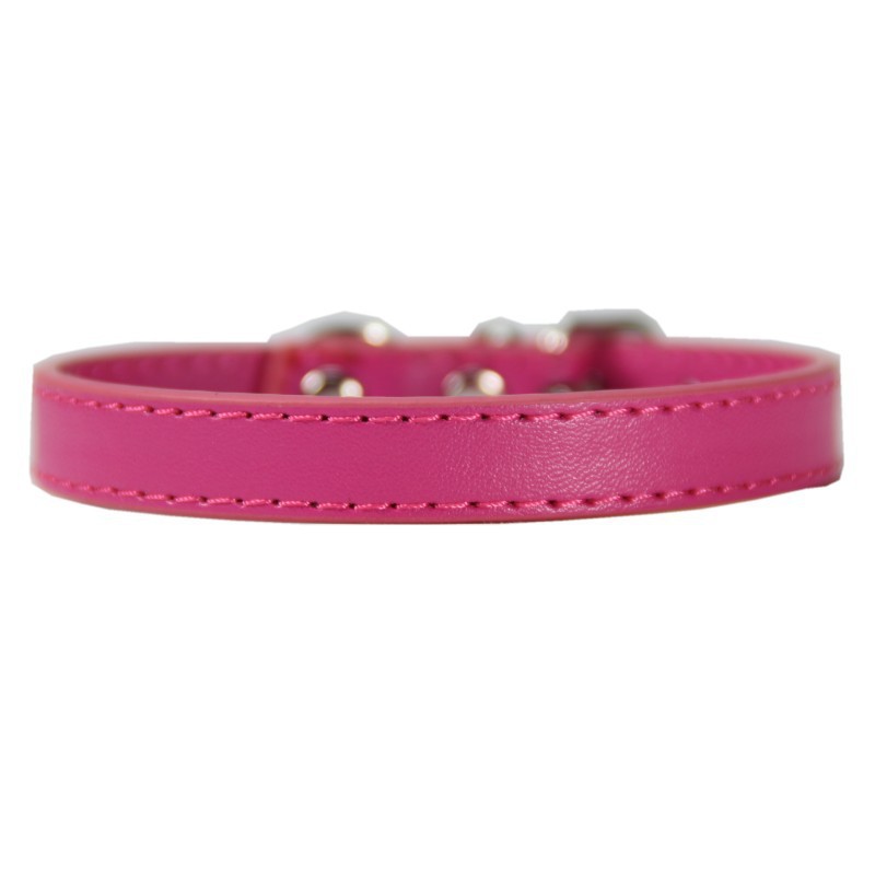 Large pet leash collar