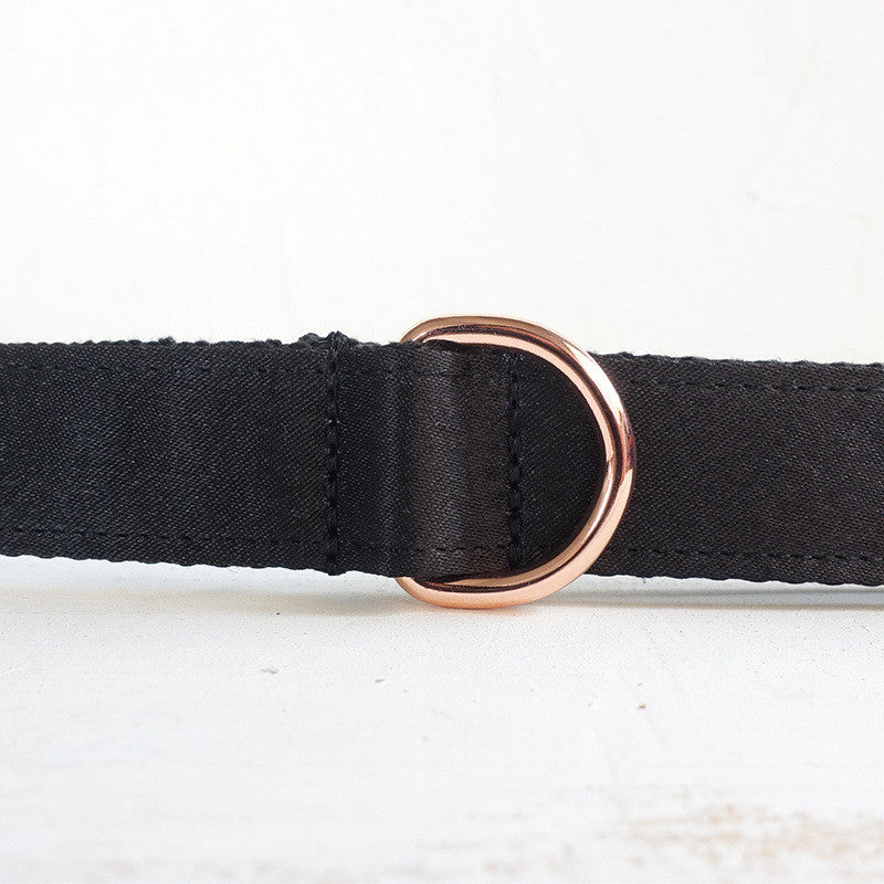 Pet alloy buckle portable leash