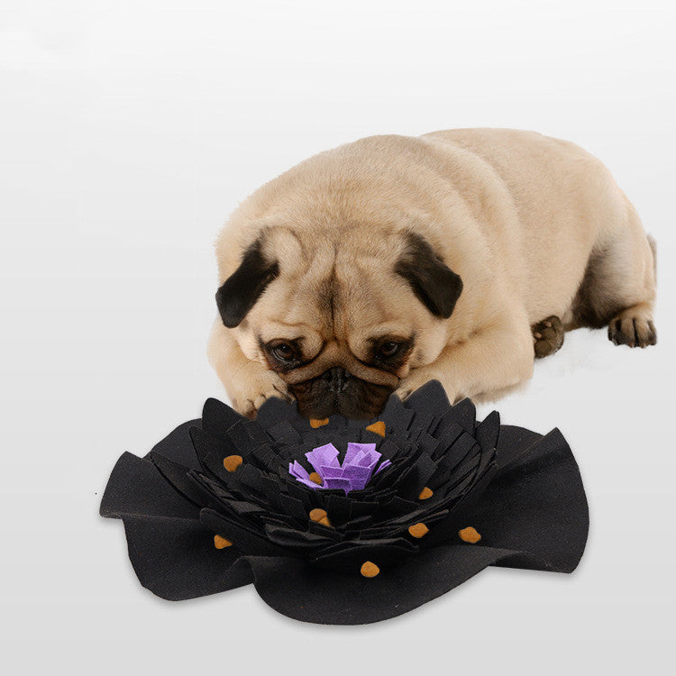 Pet sniffing pad
