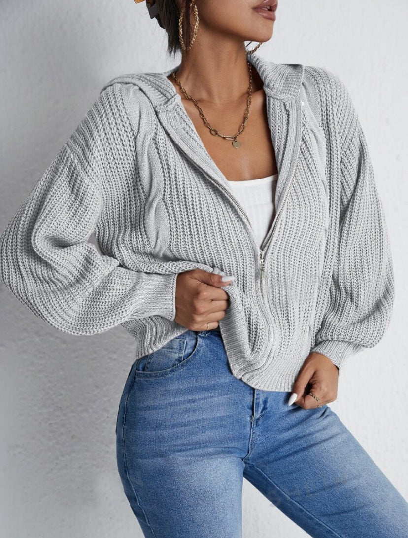 Autumn And Winter Hooded Cardigan Knitted Waffle Sweater Top