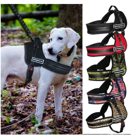 Pet medium and large dog chest strap