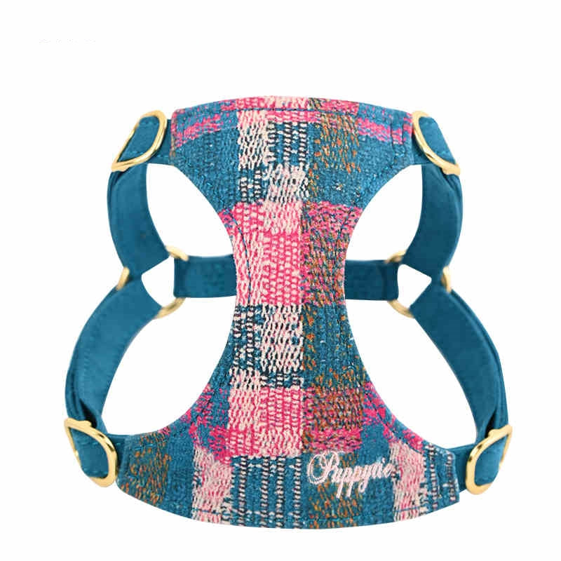 Dog Hand Holding Rope Vest Walking Dog