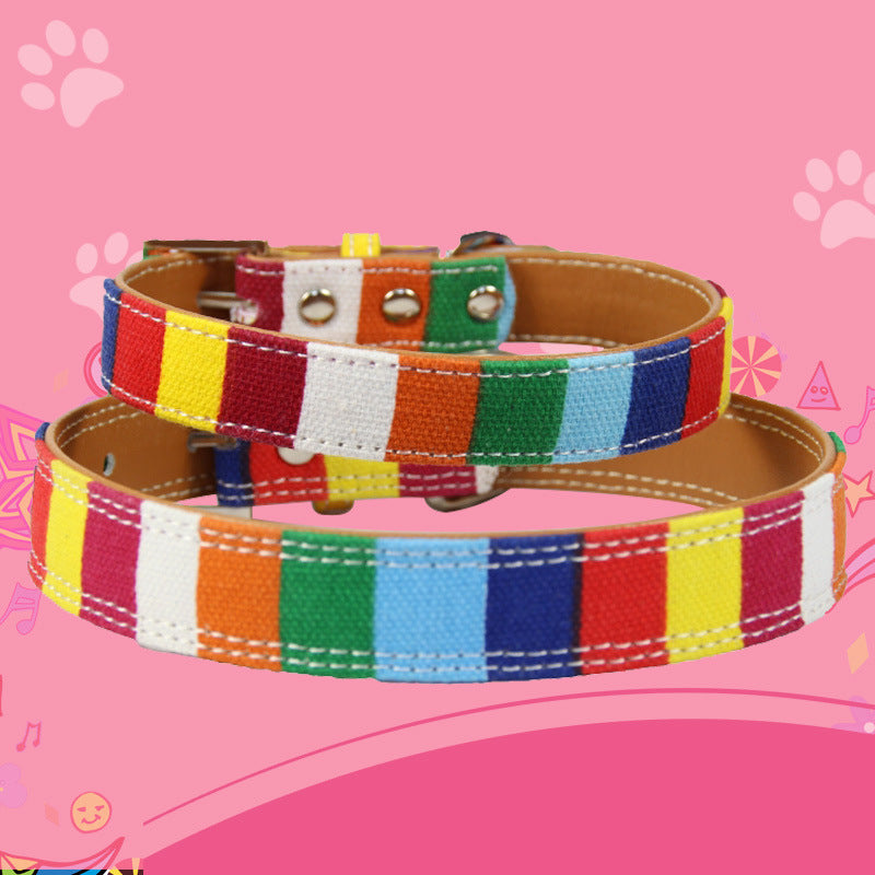 Colorful Pet Dog Collar With Traction Rope