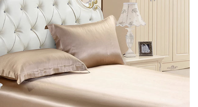 e2d5617b8425dc6aed380a9dbd0e50d2