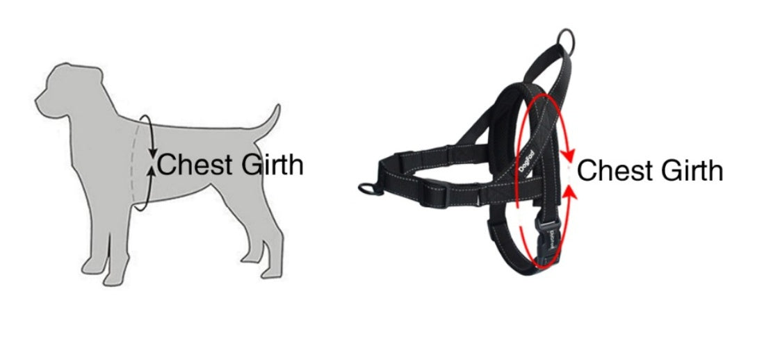 Dog chest strap