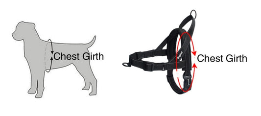 Dog chest strap