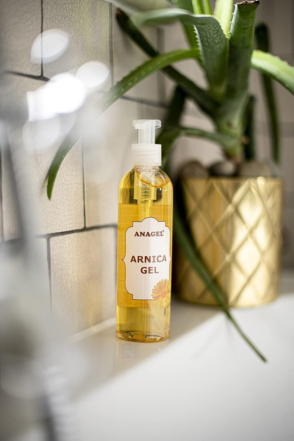 – Gel De Árnica Con Dispensador De Bomba 250 Ml