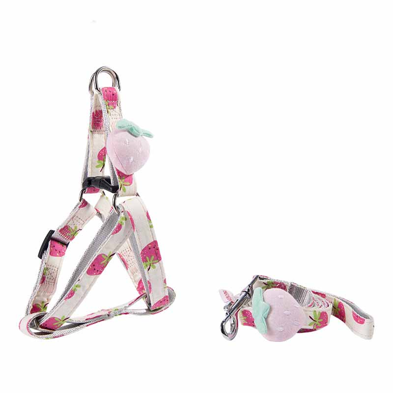 Fruit Printing Outing Dogs Fruit Series Dogs Collars Leash