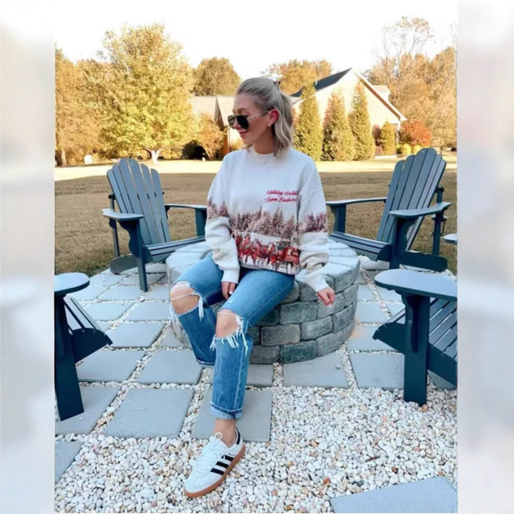 Dame Sweater Sweatshirt Rund Hals Pullover Langærmet